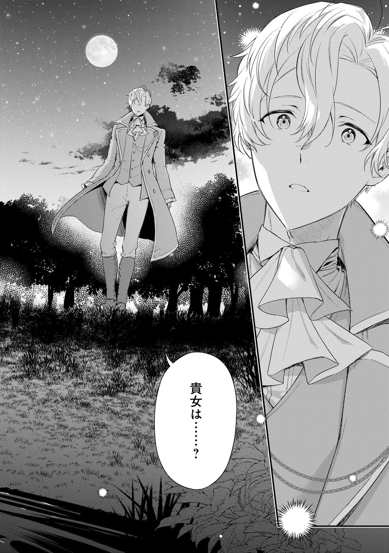 akuyakureijouhaiya_P004