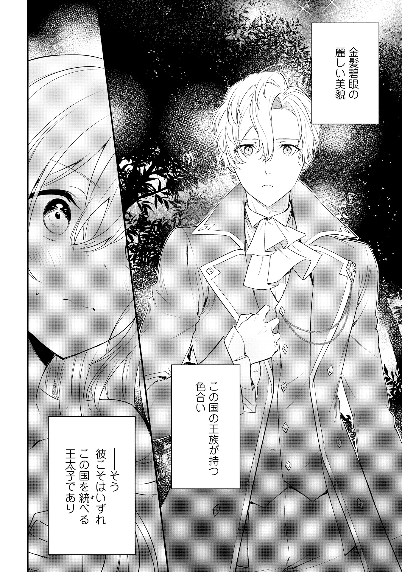 akuyakureijouhaiya_P006