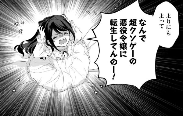 前世は病気で長く生きられなかった少女が クソゲー世界で不条理に抗い