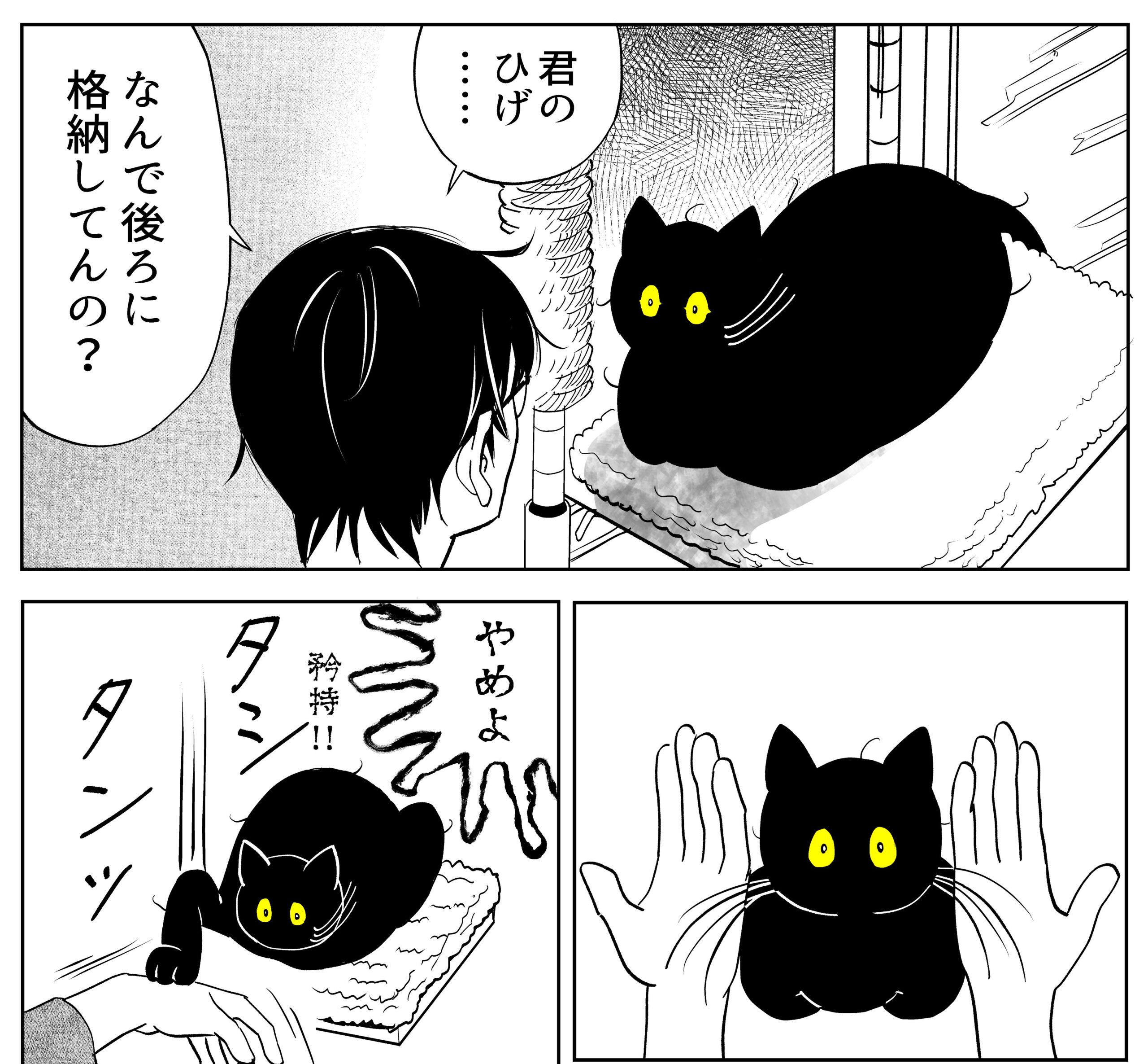 うちの猫は様子がおかしい。』