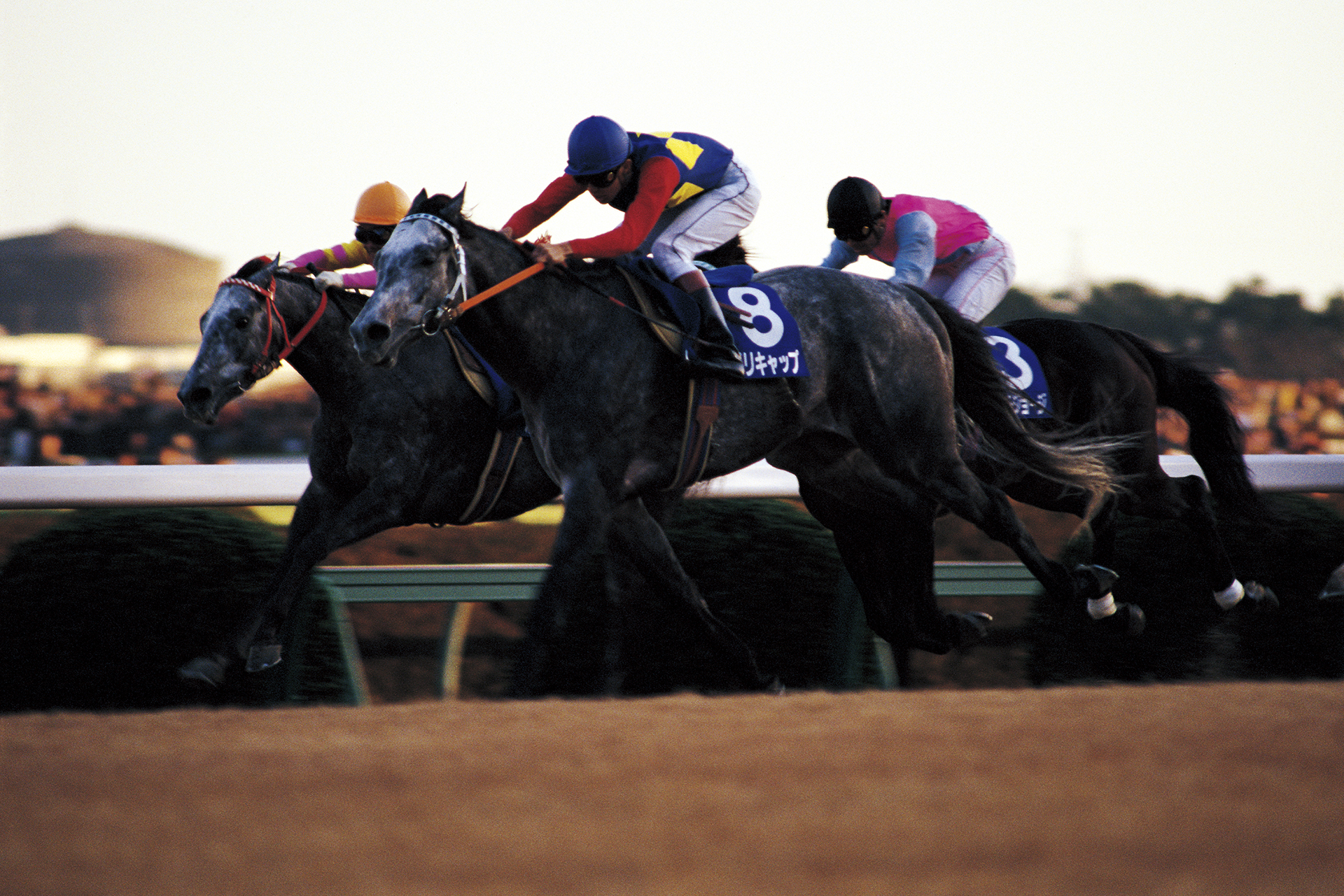 有馬記念の写真