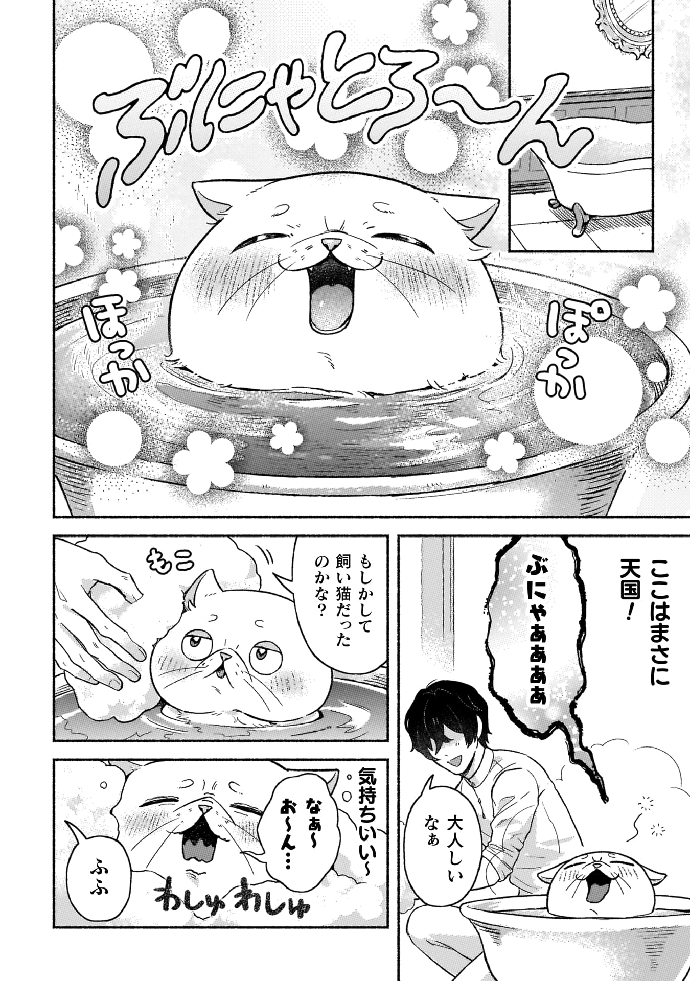 『根暗騎士による溺愛満喫中のブサ猫、実は聖女です！』