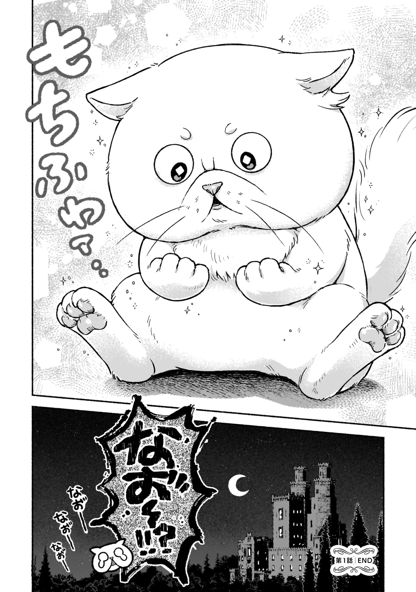 『根暗騎士による溺愛満喫中のブサ猫、実は聖女です！』