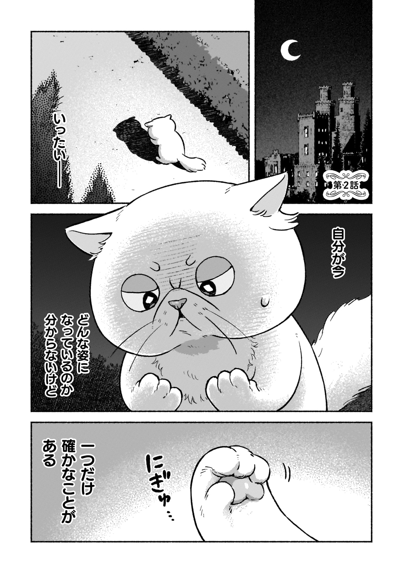 『根暗騎士による溺愛満喫中のブサ猫、実は聖女です！』