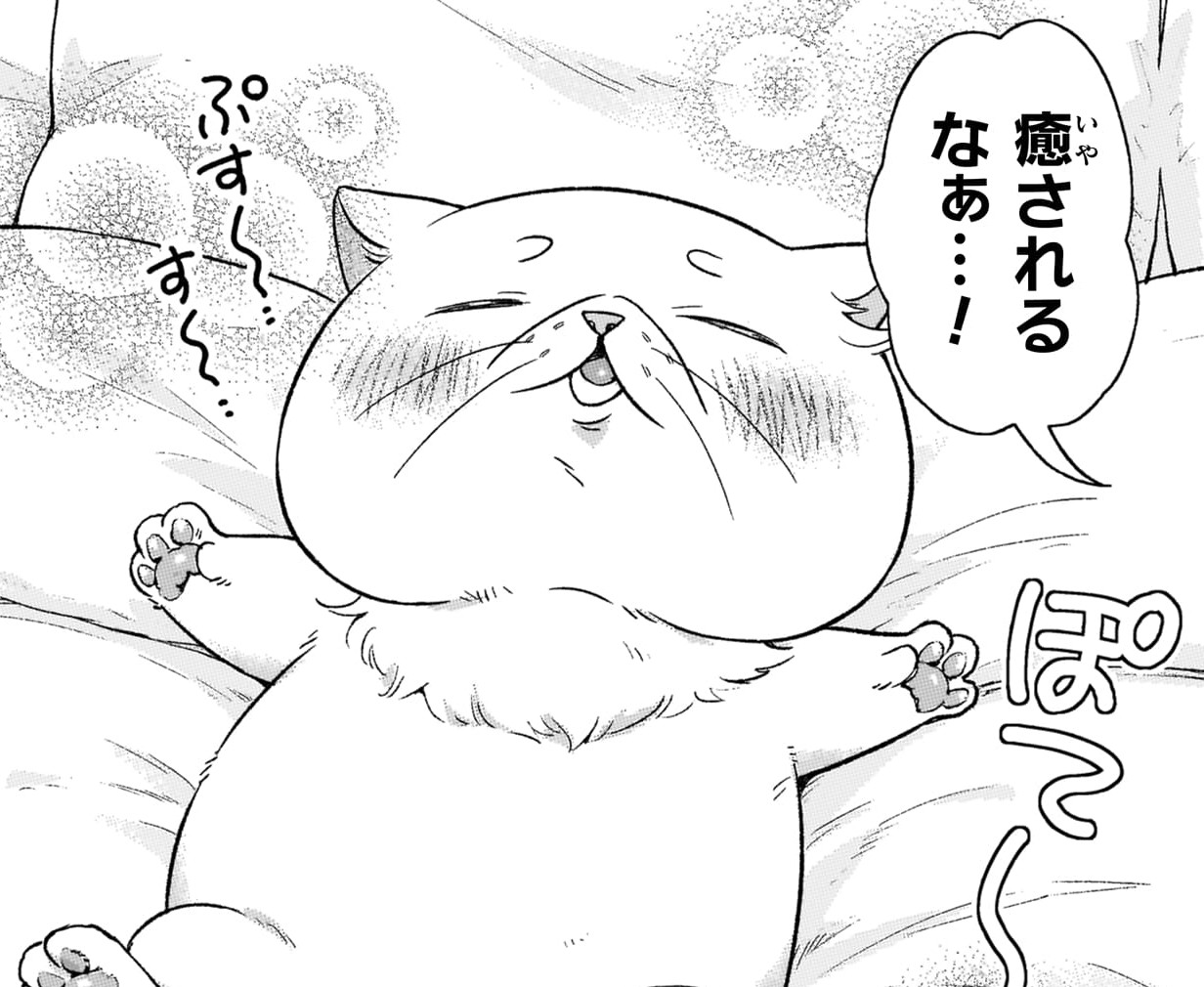 『根暗騎士による溺愛満喫中のブサ猫、実は聖女です！』