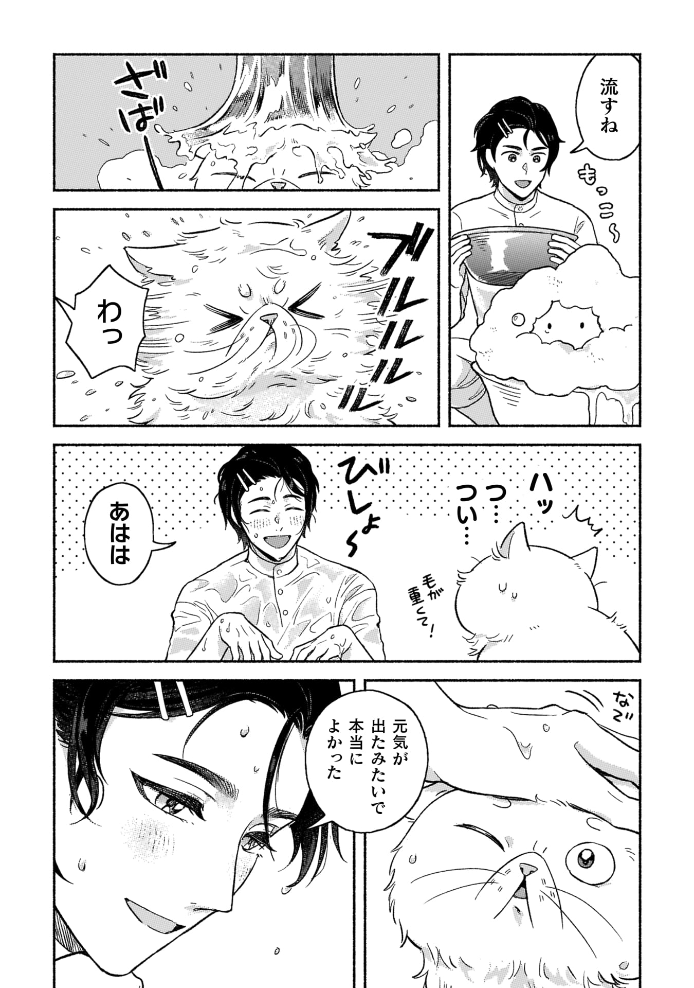 『根暗騎士による溺愛満喫中のブサ猫、実は聖女です！』