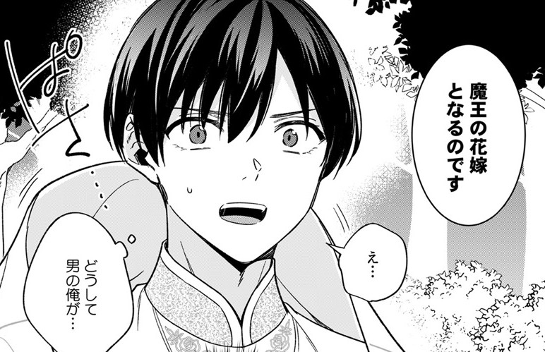 『ブラック企業からの転職先は異世界魔王の花嫁でした』