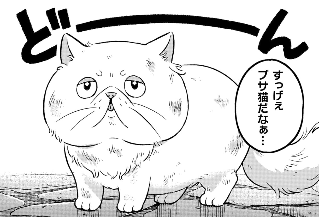 『根暗騎士による溺愛満喫中のブサ猫、実は聖女です！』