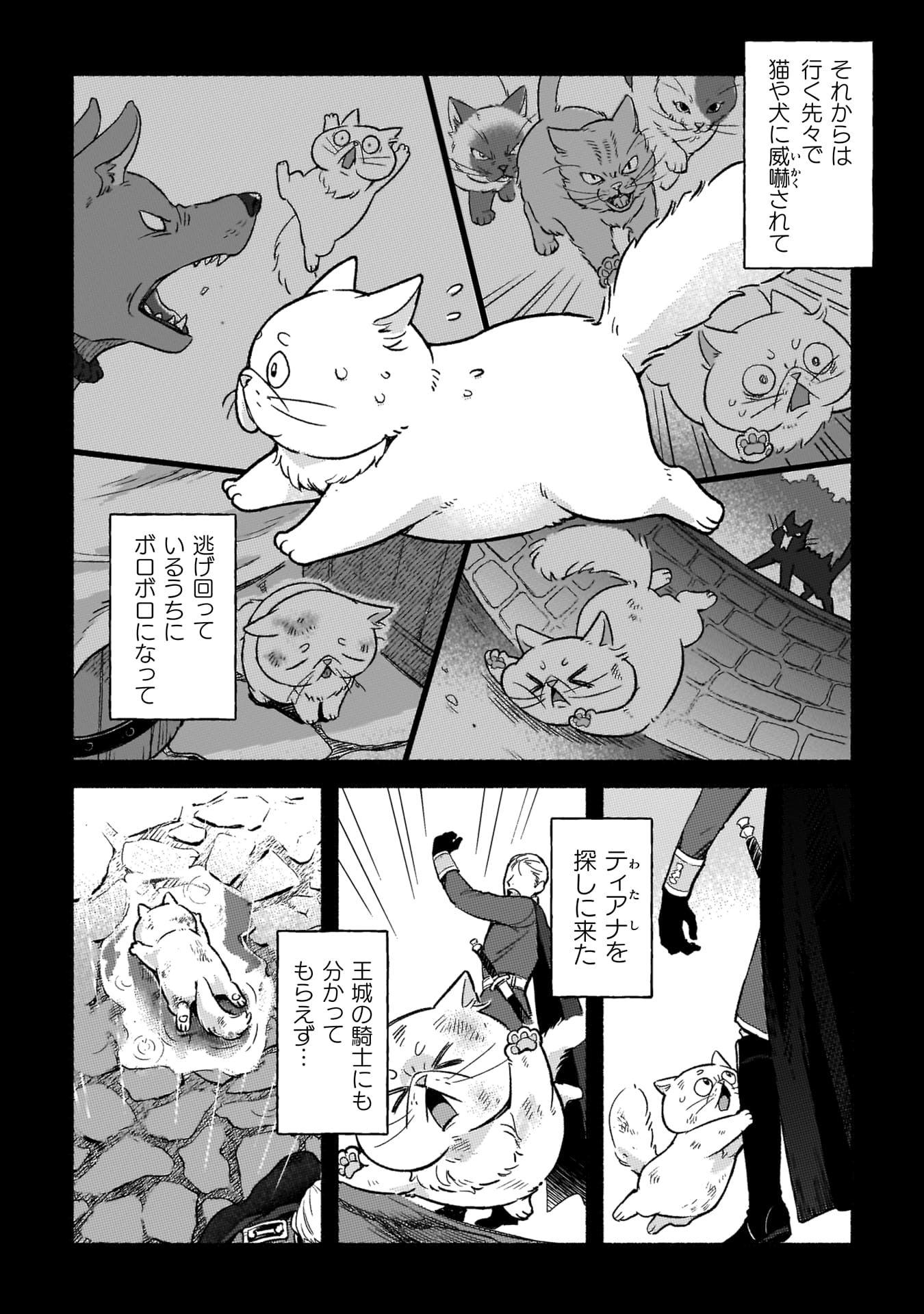 『根暗騎士による溺愛満喫中のブサ猫、実は聖女です！』