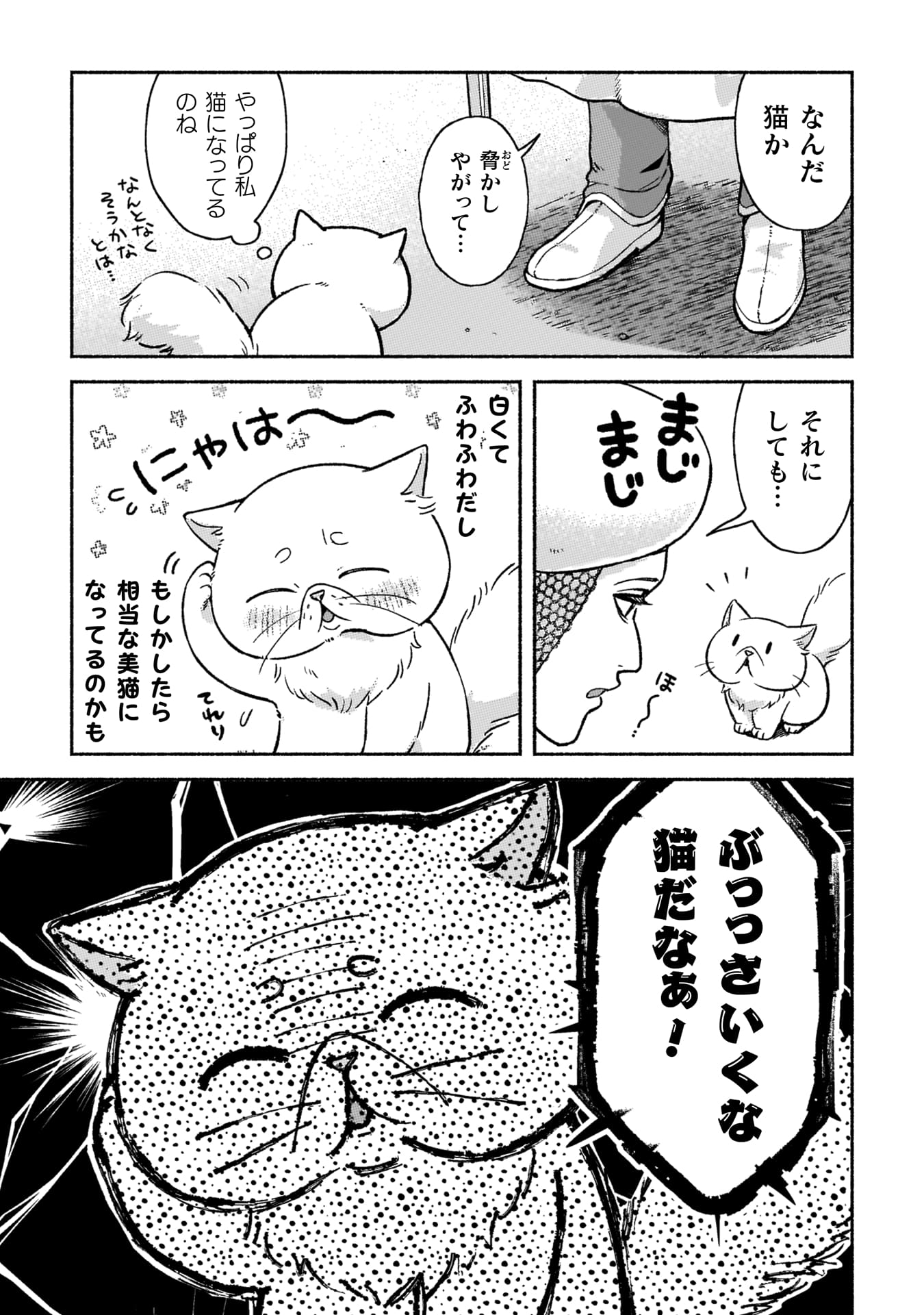 『根暗騎士による溺愛満喫中のブサ猫、実は聖女です！』