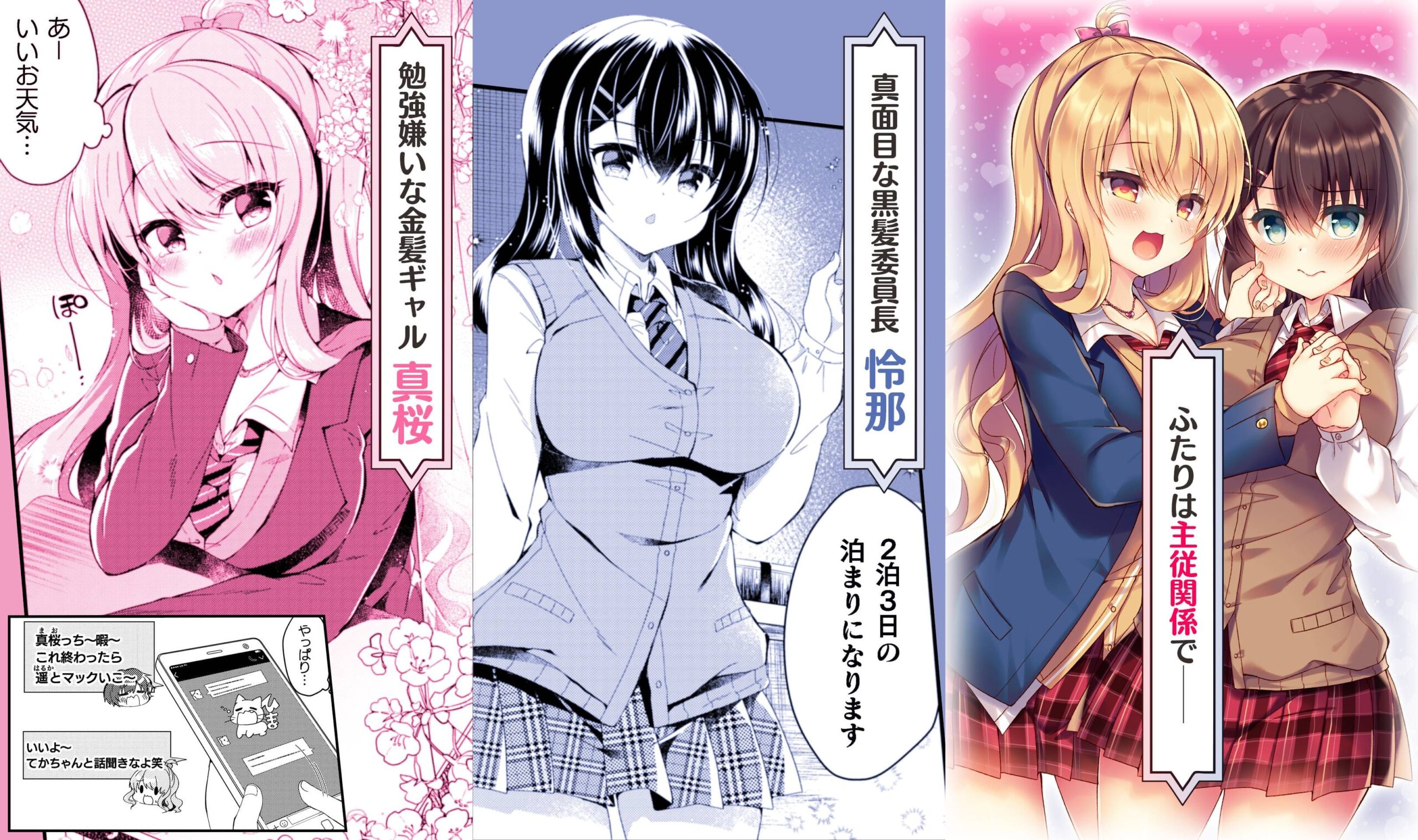 『百合ラブスレイブ　ふたりだけの放課後』