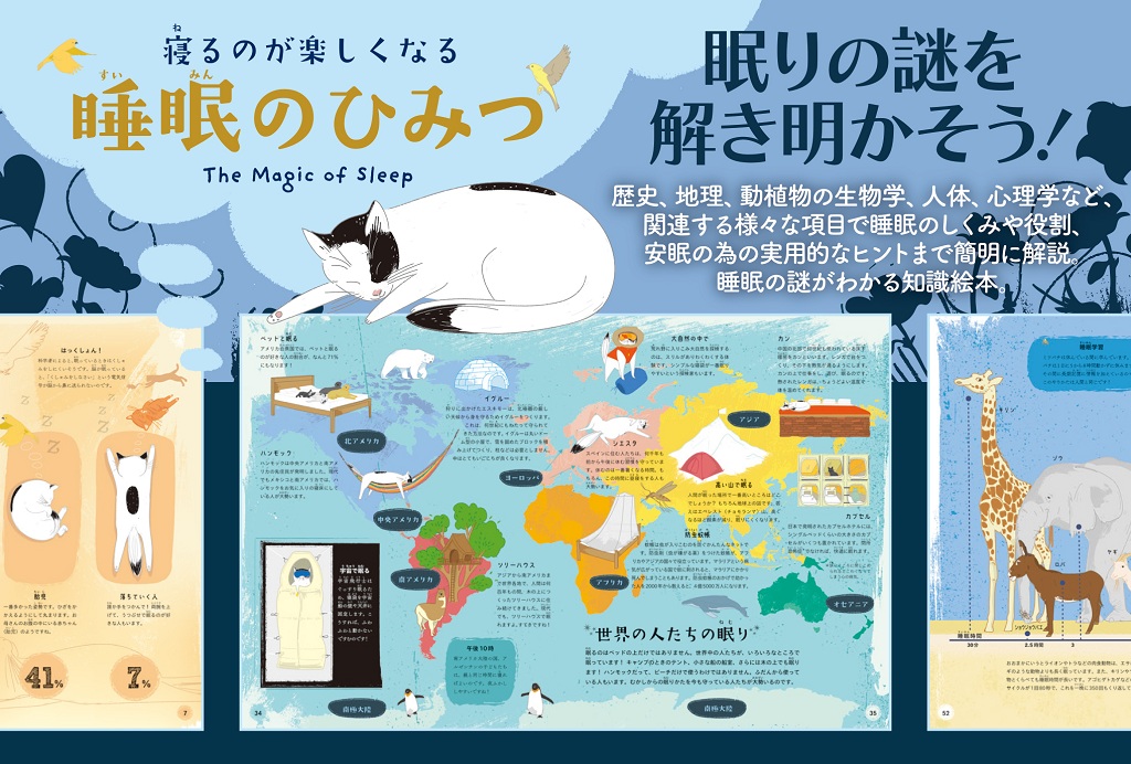 11番目の注目記事の画像