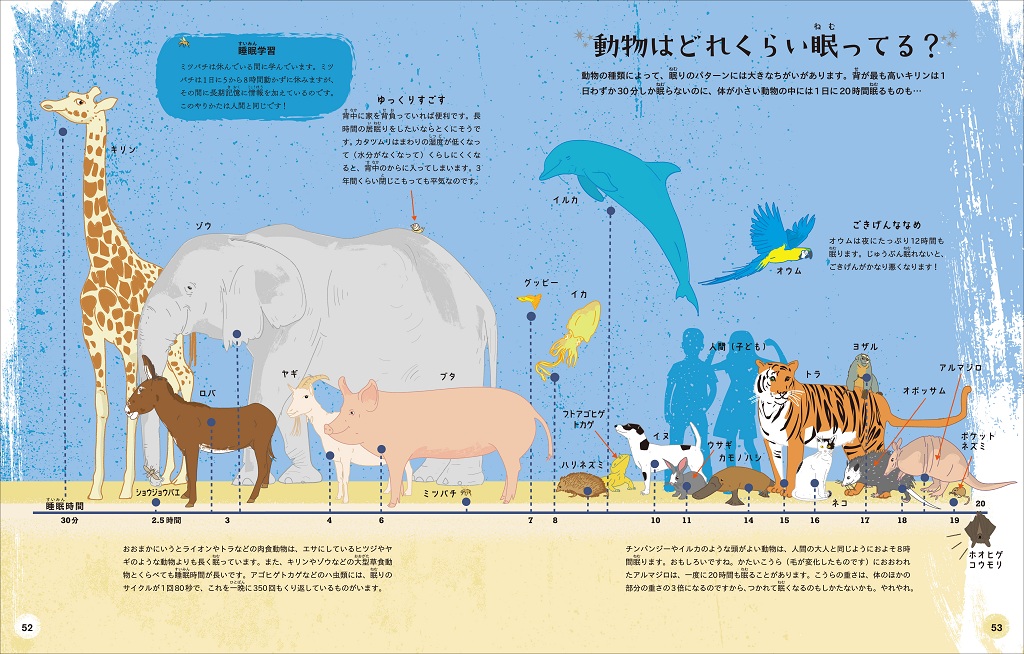 睡眠の秘密＿立ち読み用.indd