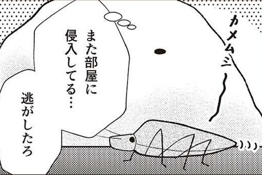 記事の画像