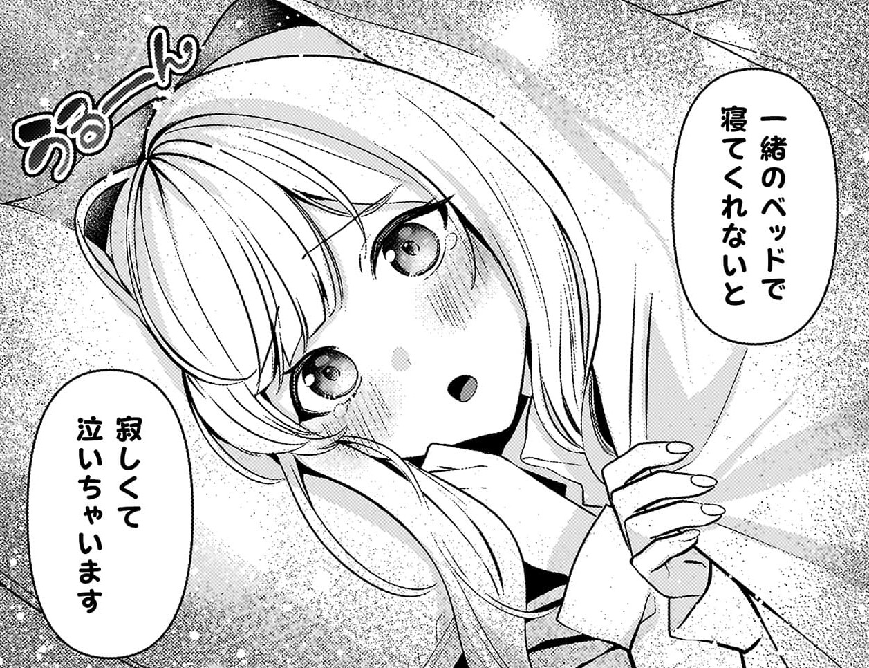 『キミの理想のメイドになる！』