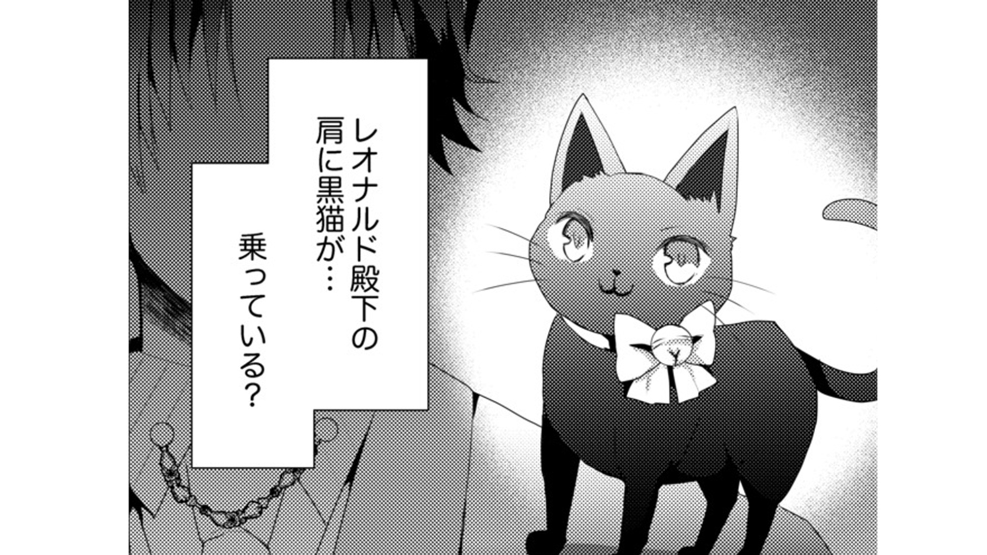 記事の画像