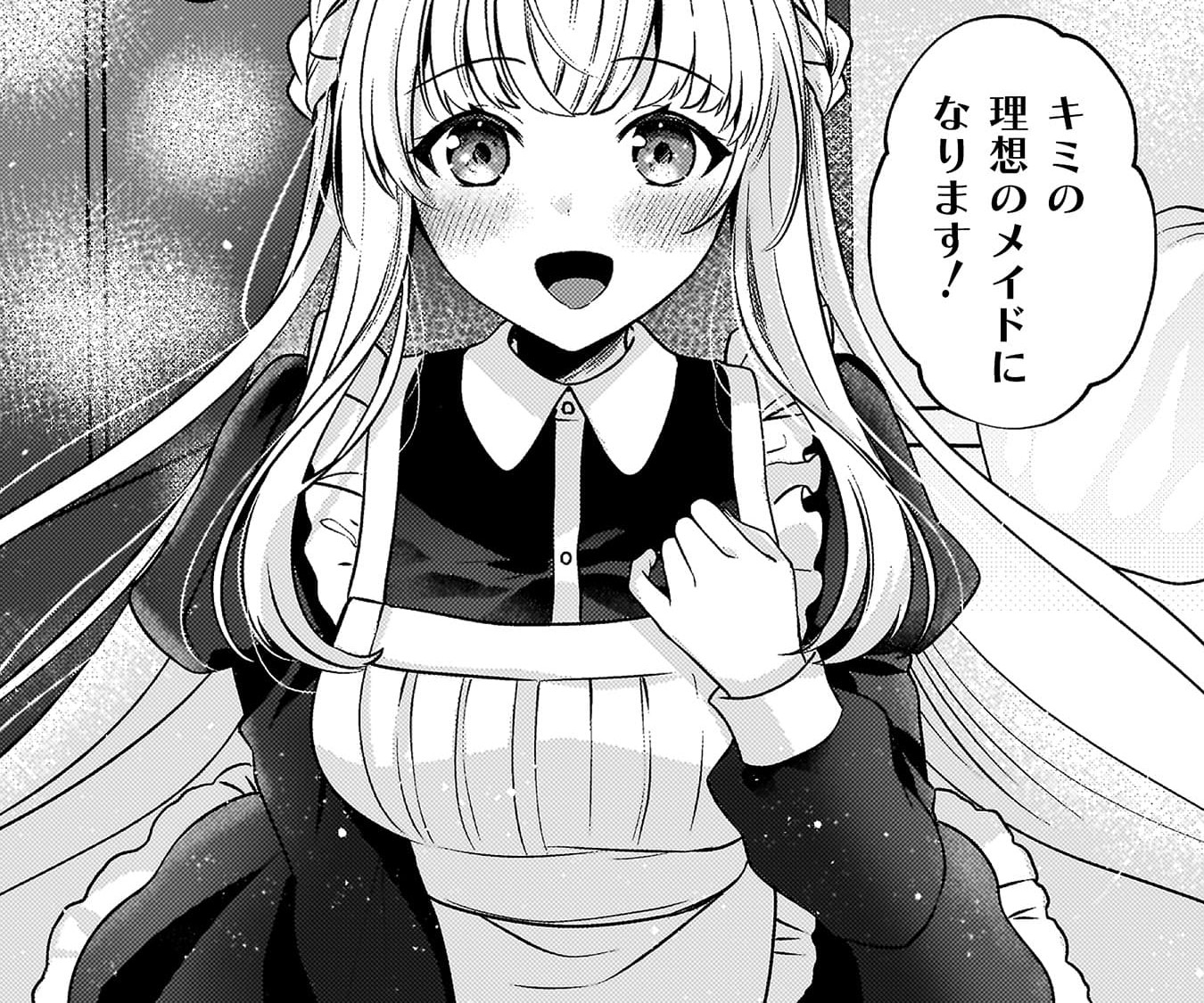 『キミの理想のメイドになる！』