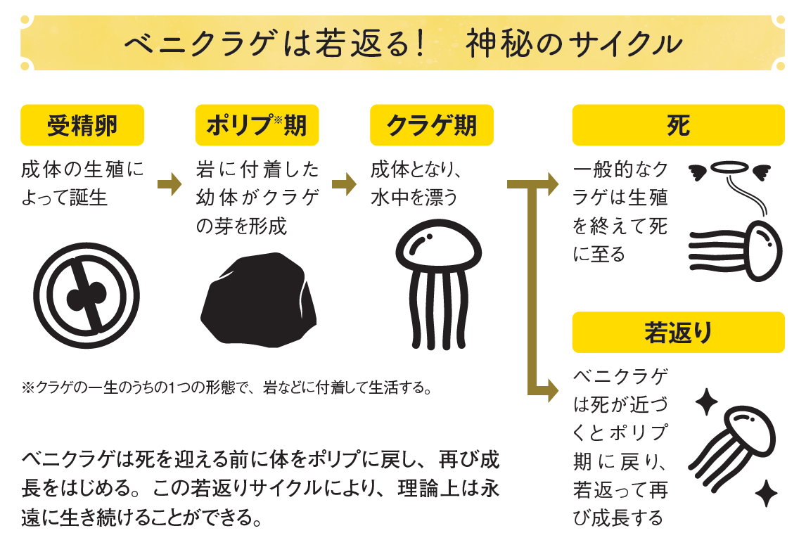 死の話