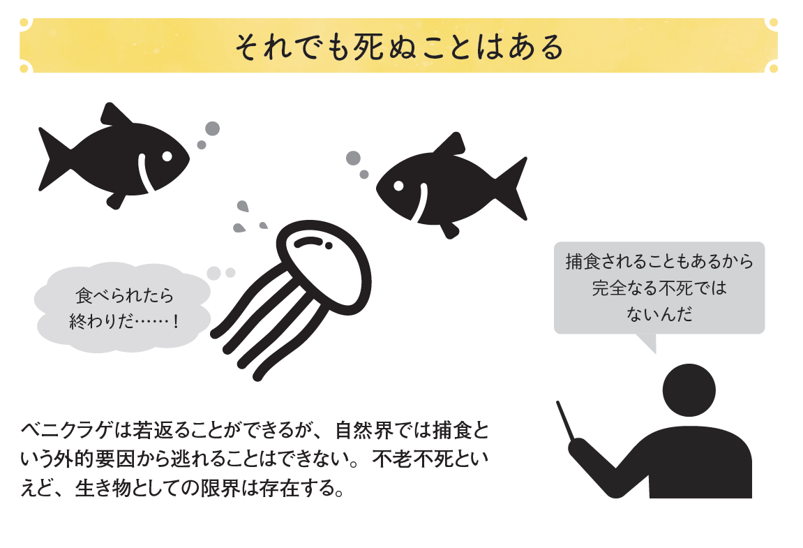 死の話