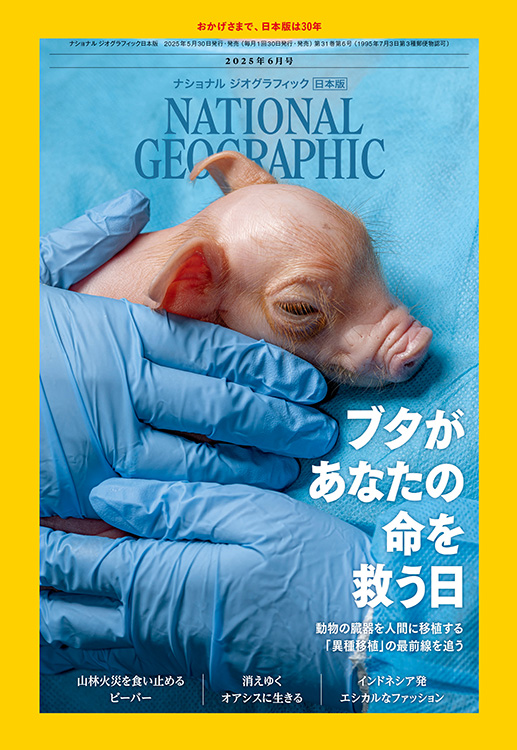 ナショナルジオグラフィック202506