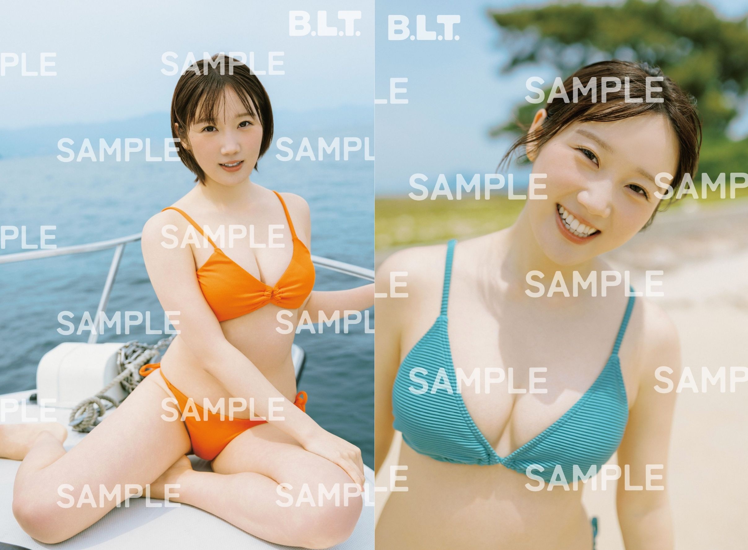 記事の画像