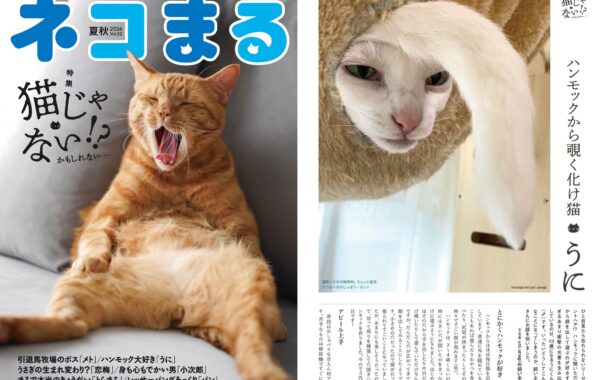 猫だけど猫じゃない！？ハンモックが好きすぎて珍妙な光景に…魅力的な