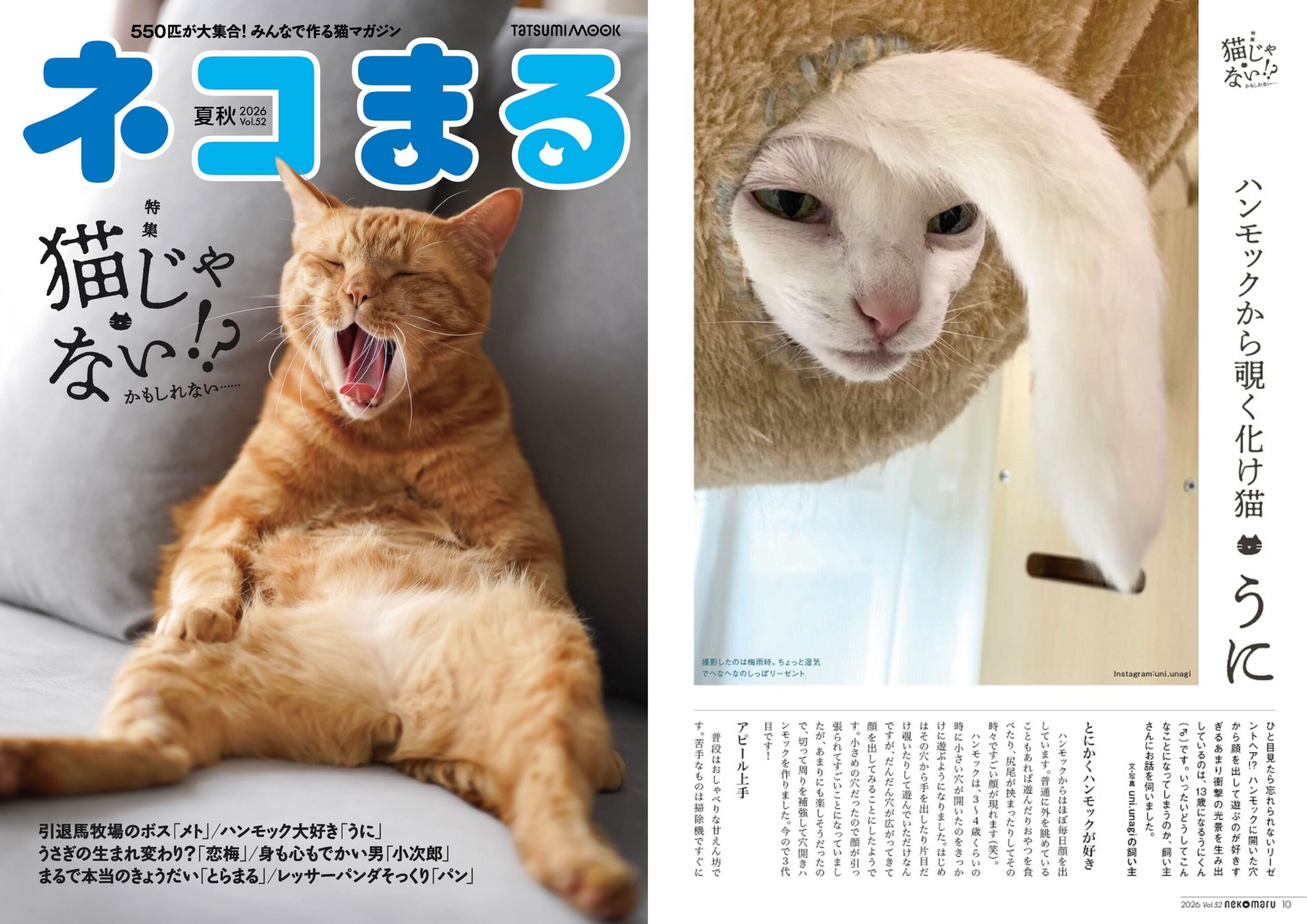 6番目の注目記事の画像