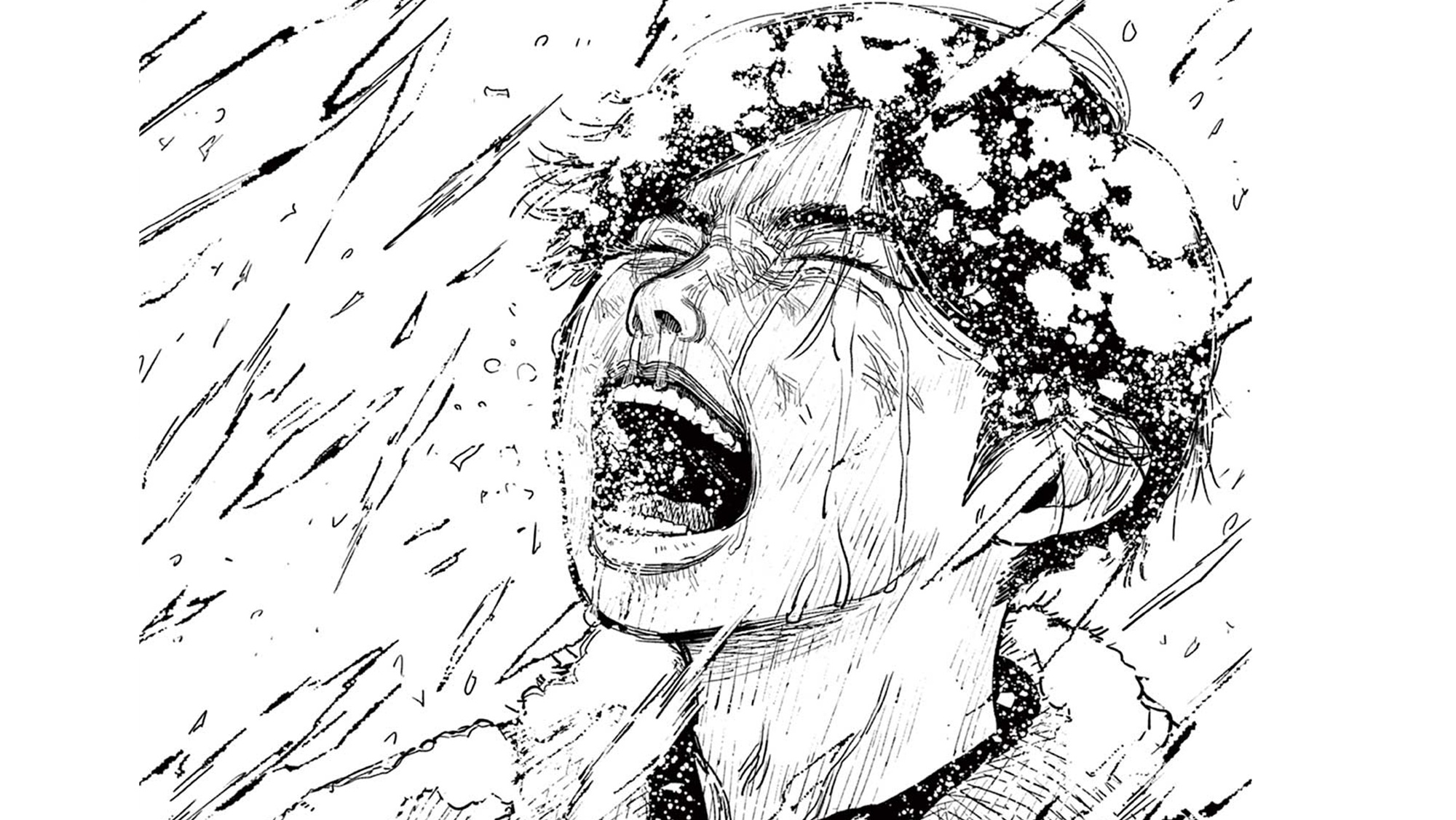 記事の画像
