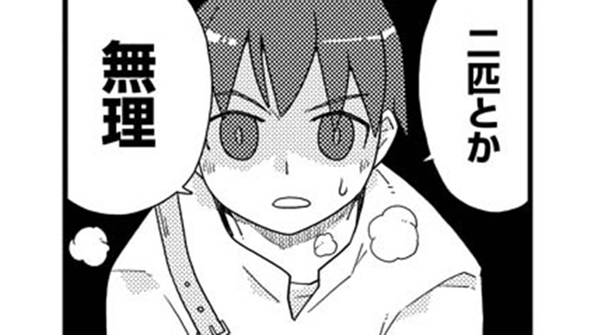 記事の画像