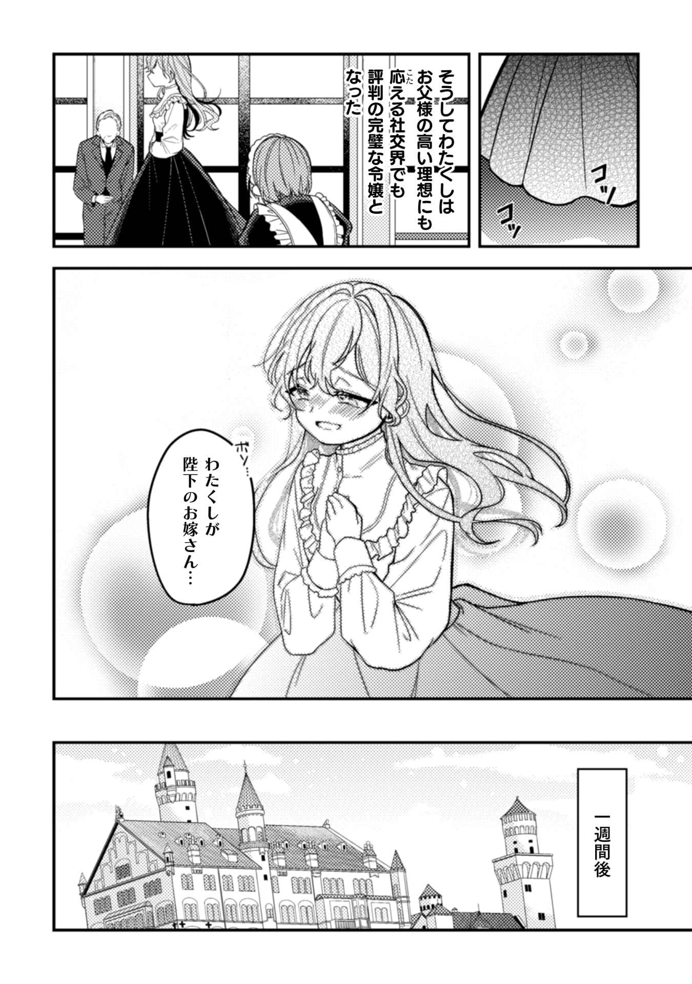 『わたくし、恋愛結婚がしたいんです。 カタブツ陛下の攻略法』