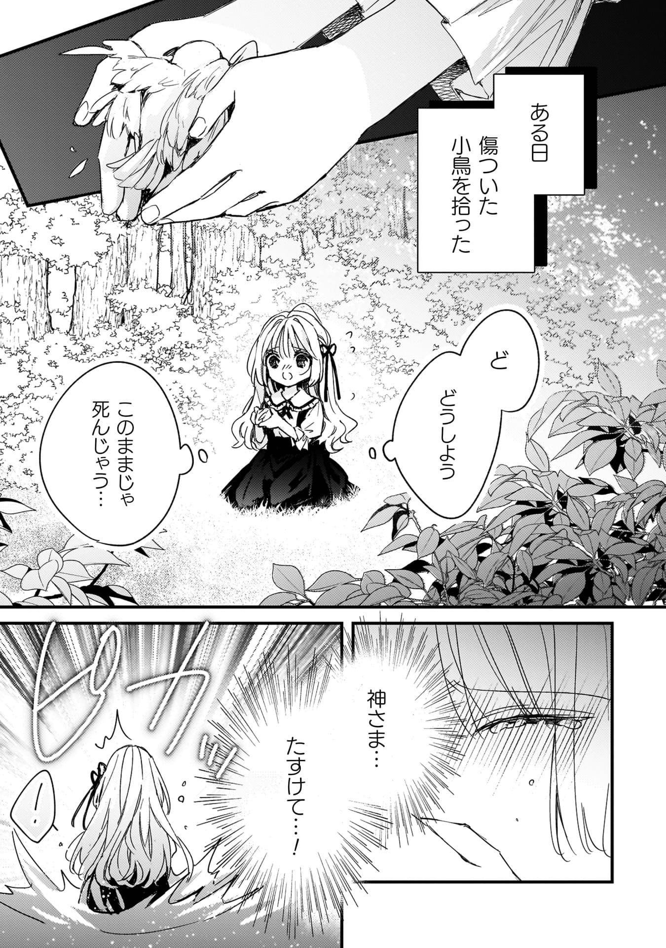 『政略結婚の相手に「私のこと好きになって」とお祈りした結果』