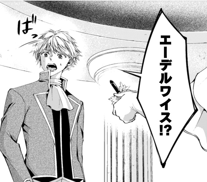 婚約破棄してはさしあげますわ_アイキャッチ【#8】