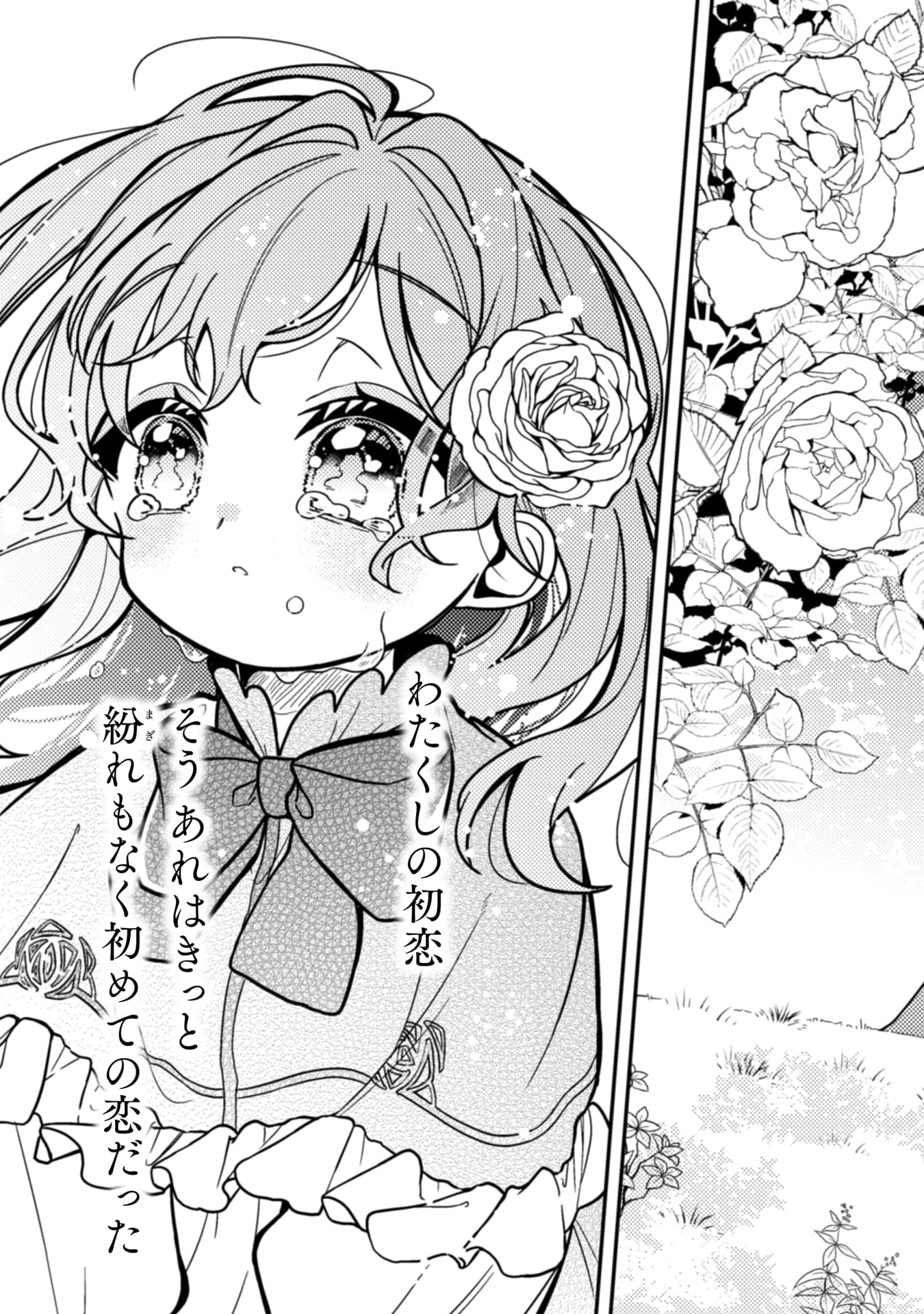 『わたくし、恋愛結婚がしたいんです。　カタブツ陛下の攻略法』