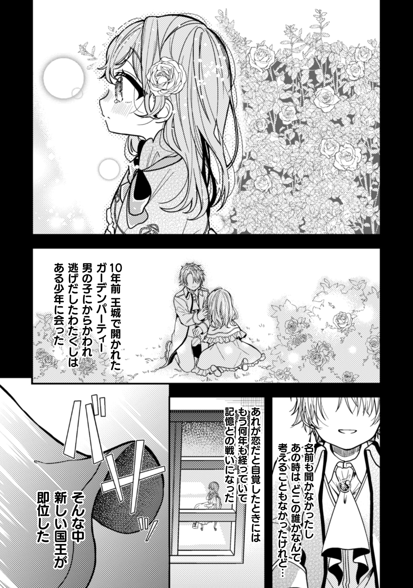 『わたくし、恋愛結婚がしたいんです。 カタブツ陛下の攻略法』
