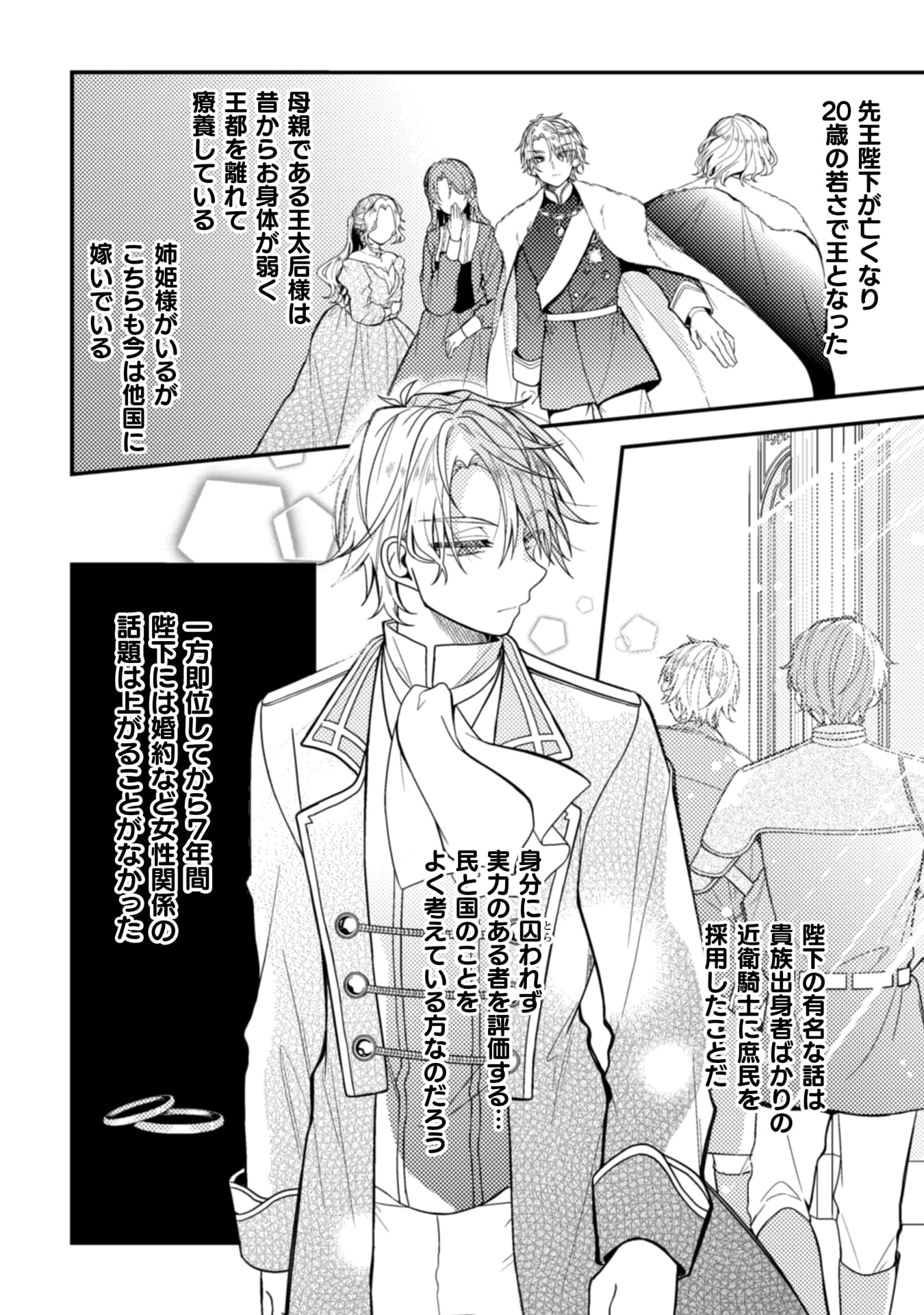 『わたくし、恋愛結婚がしたいんです。　カタブツ陛下の攻略法』