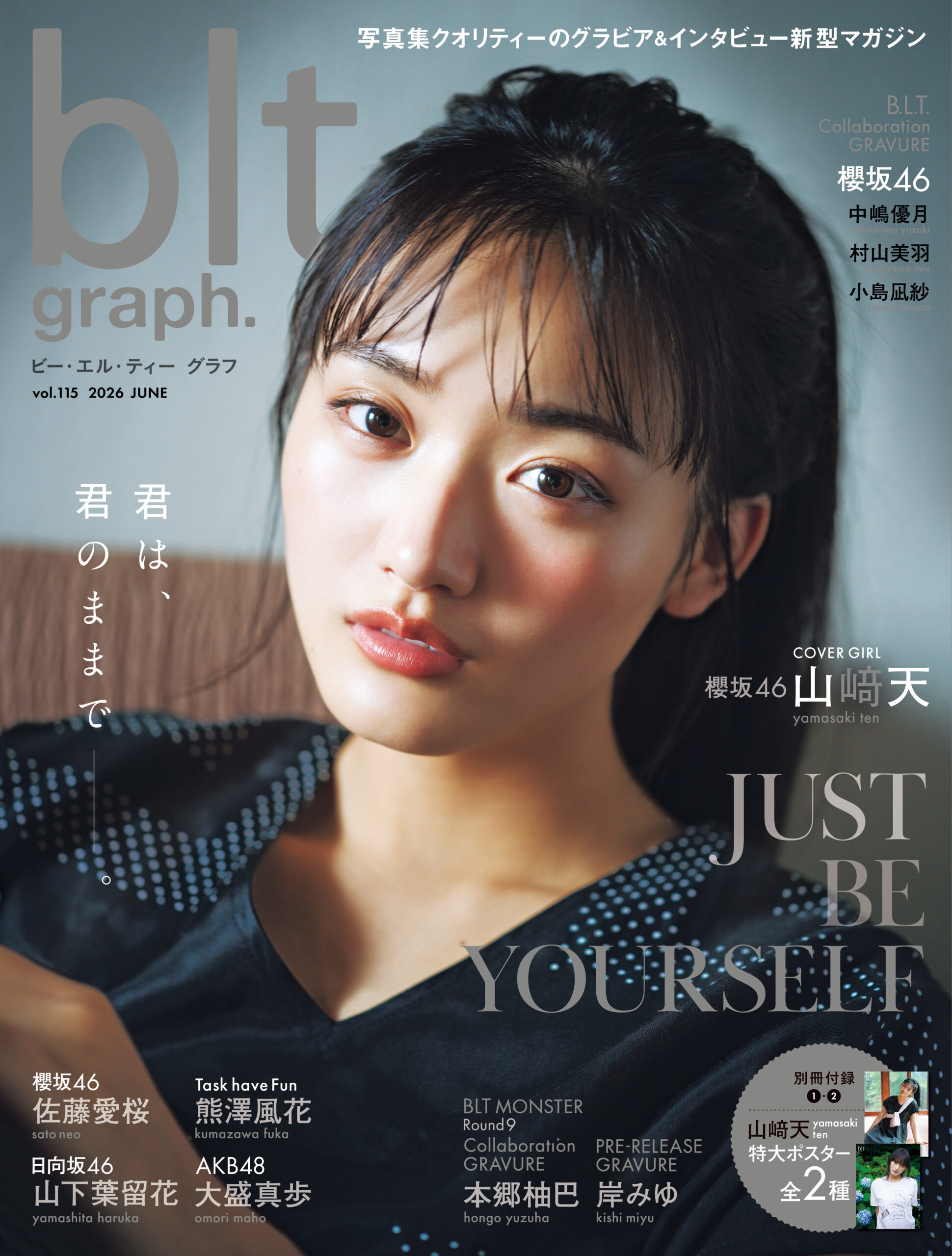 blt graph.vol.115