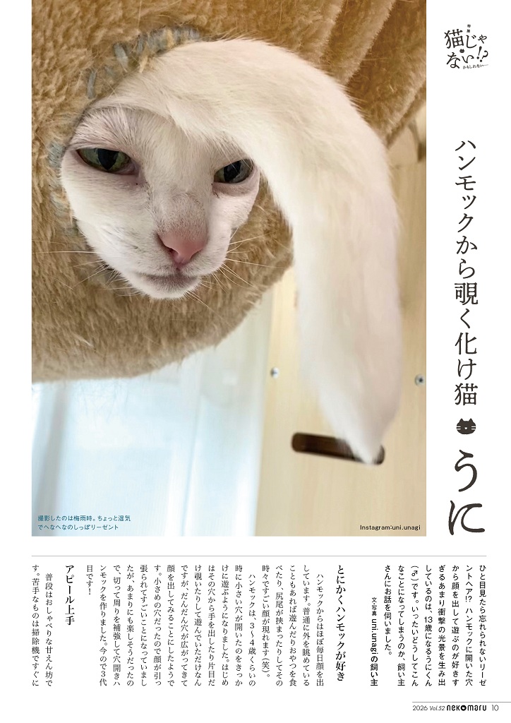 ねこまるsub2