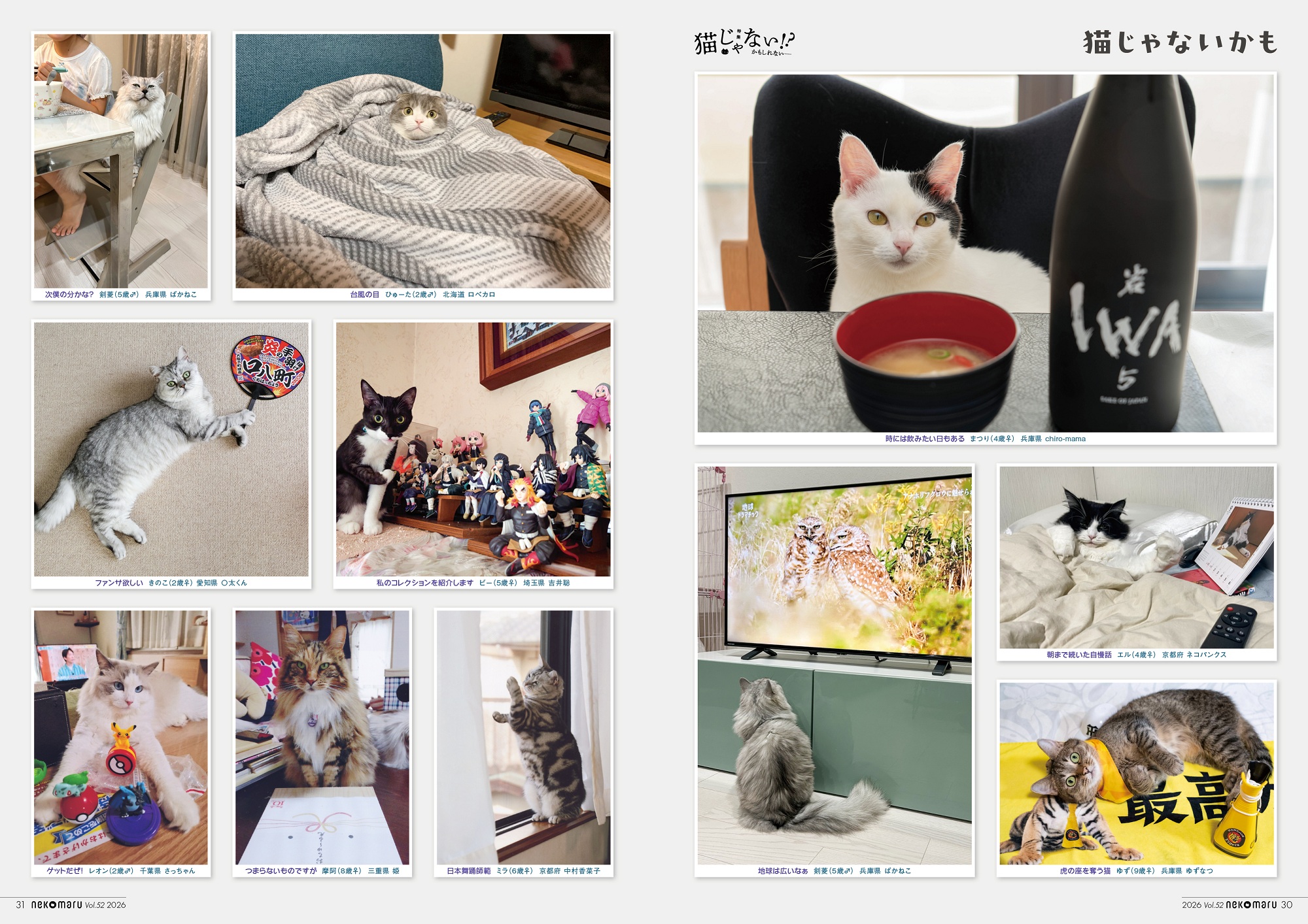 ねこまるsub4