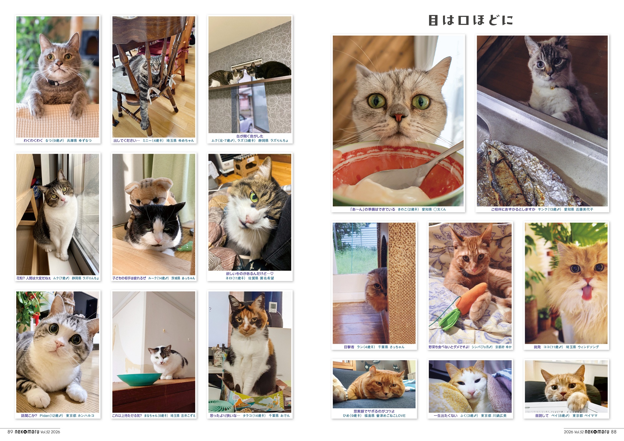 ねこまるsub5