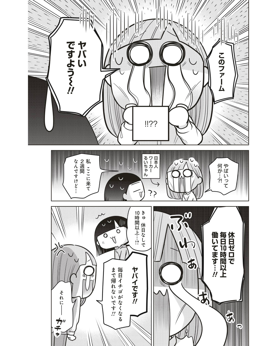 ワーホリ