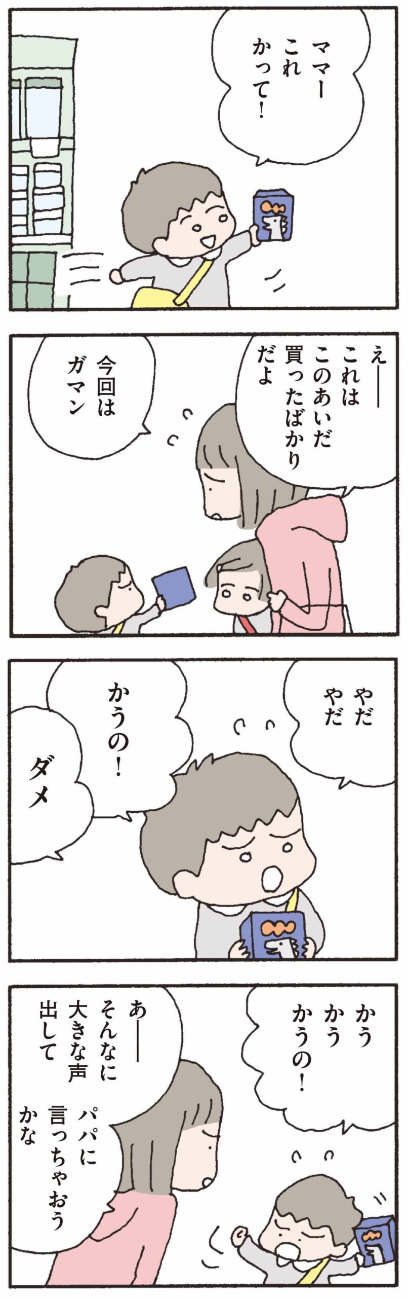 離婚してもいいですか？翔子の場合