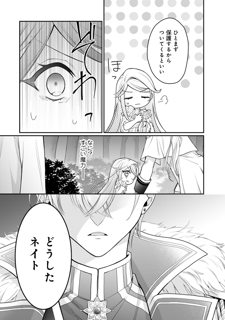 裏切られた悪徳王女_43