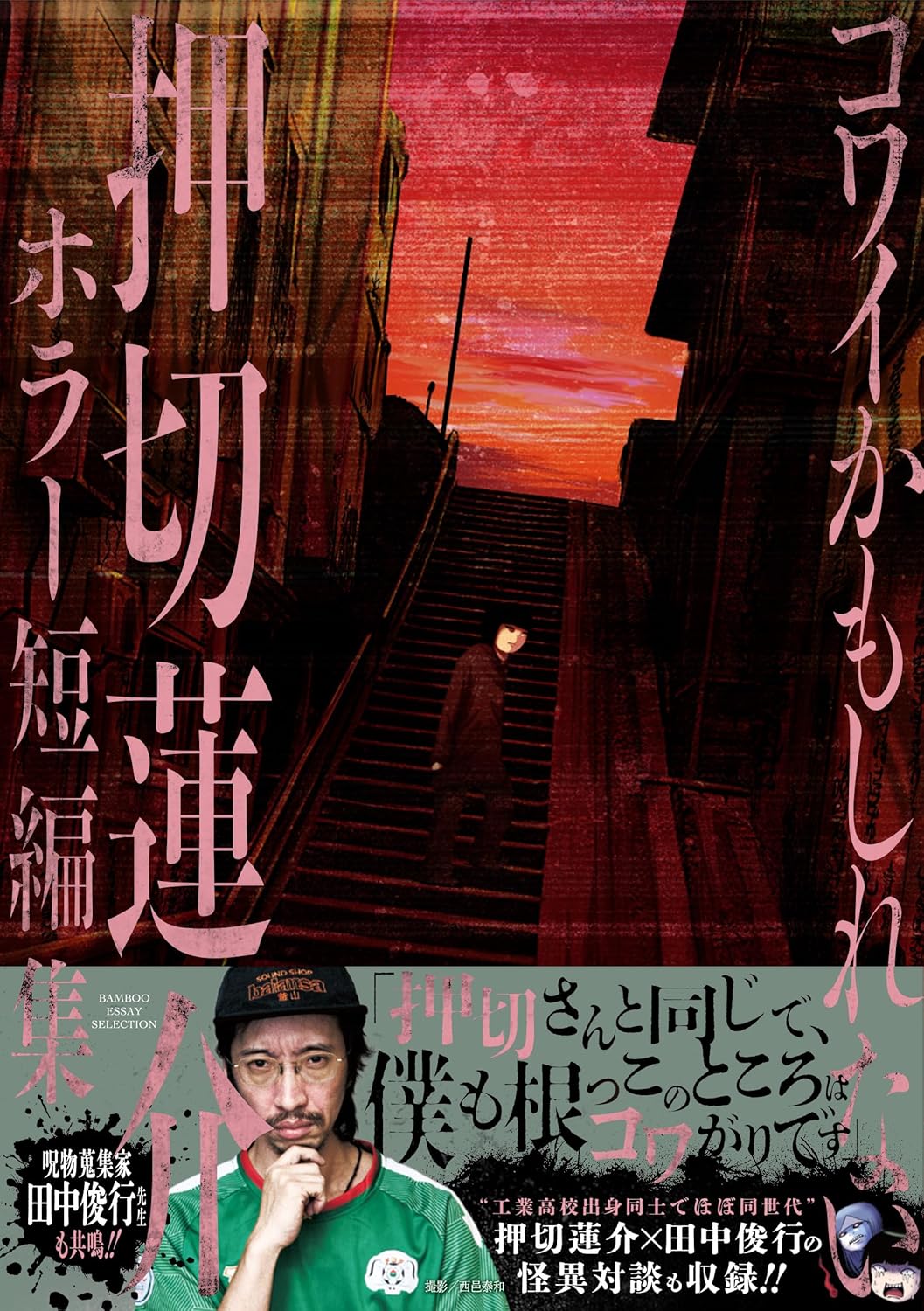 帯有表紙