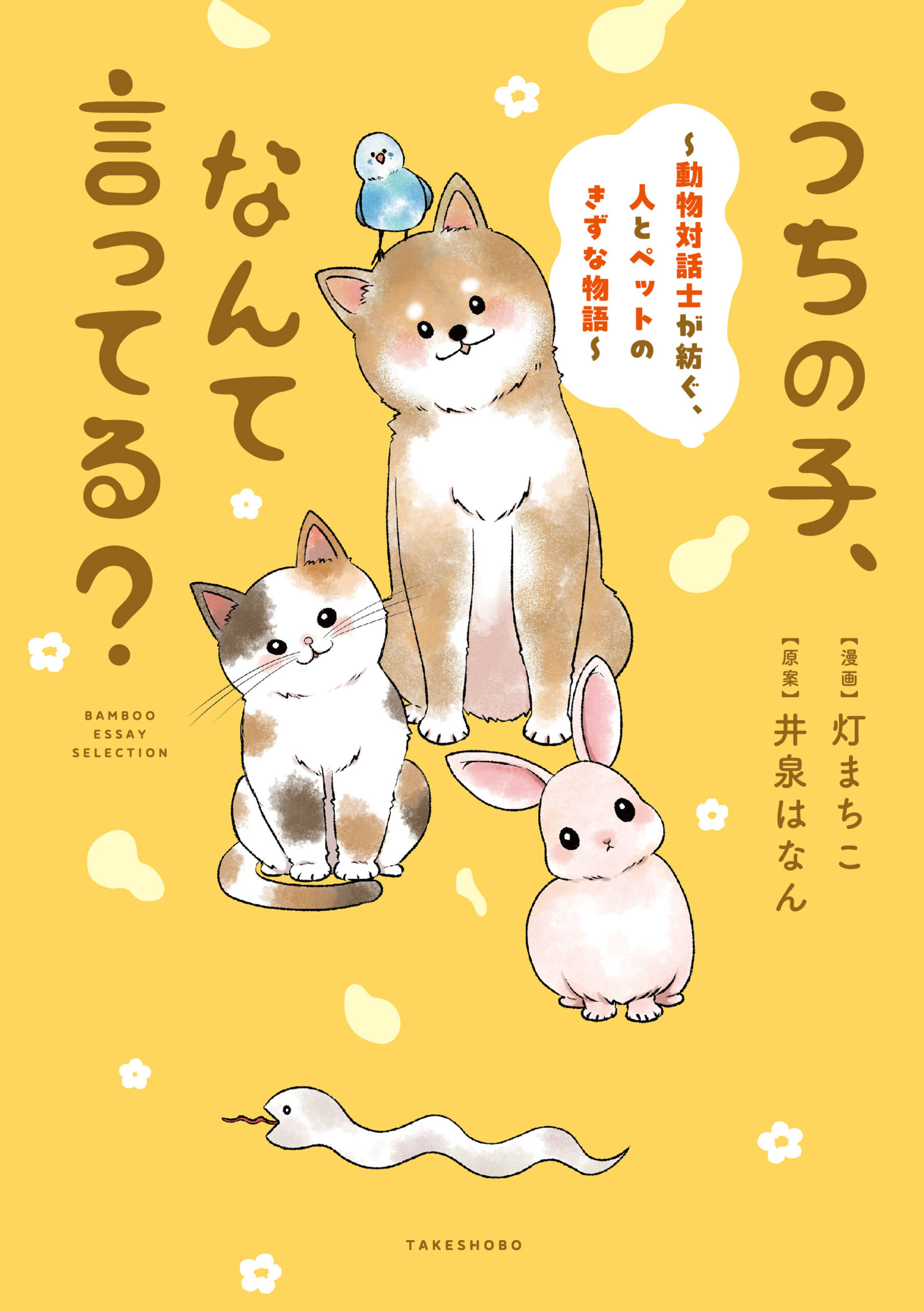 表紙帯無