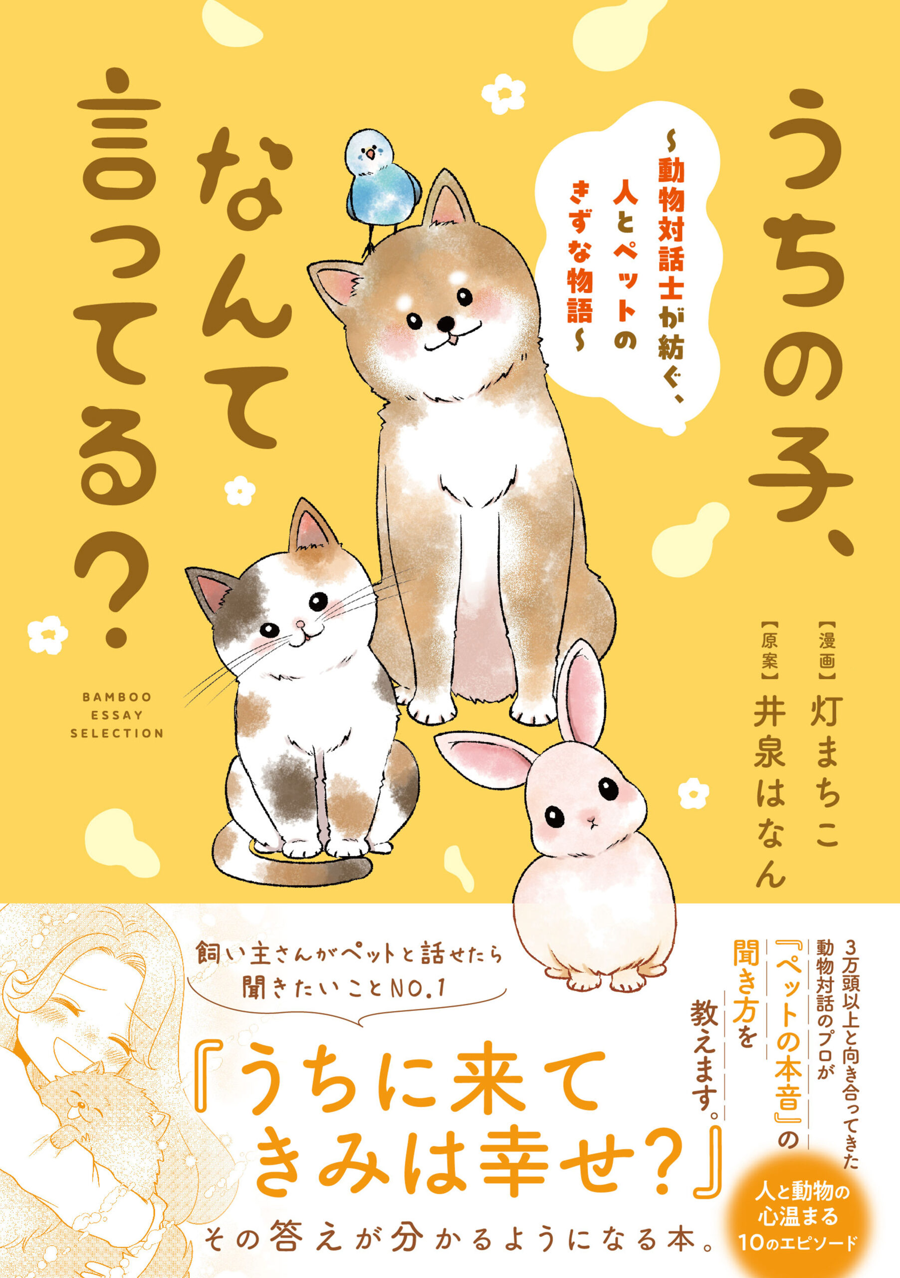 表紙