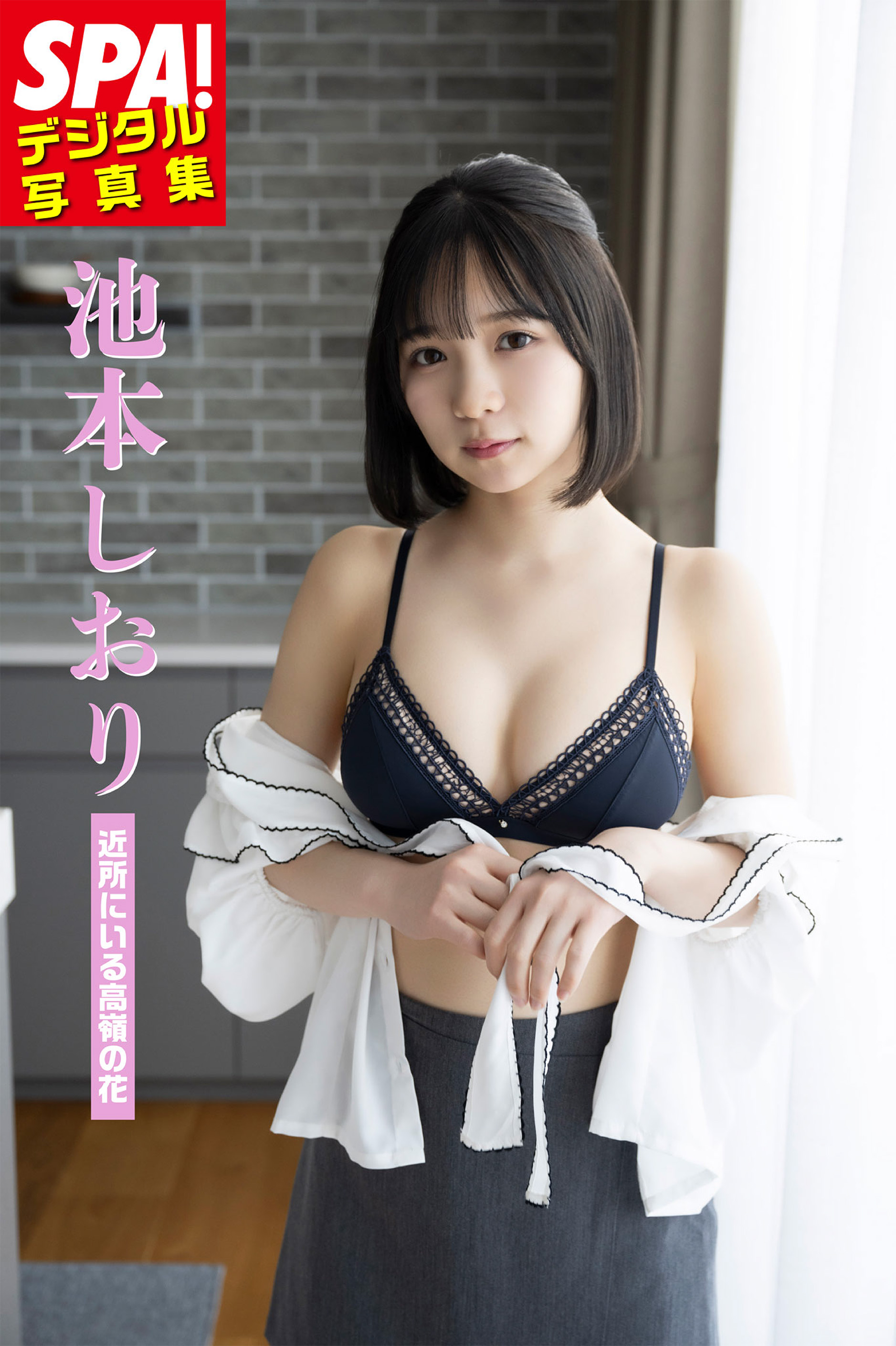 池本しおり表紙