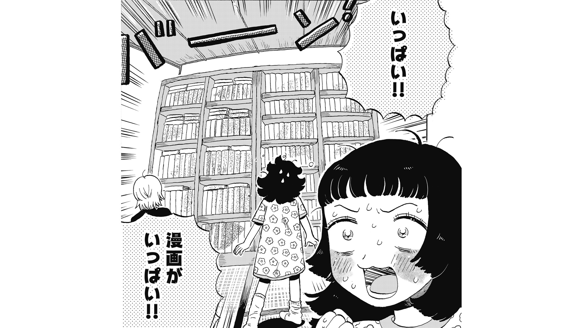 たぬきはたぬきTOP13