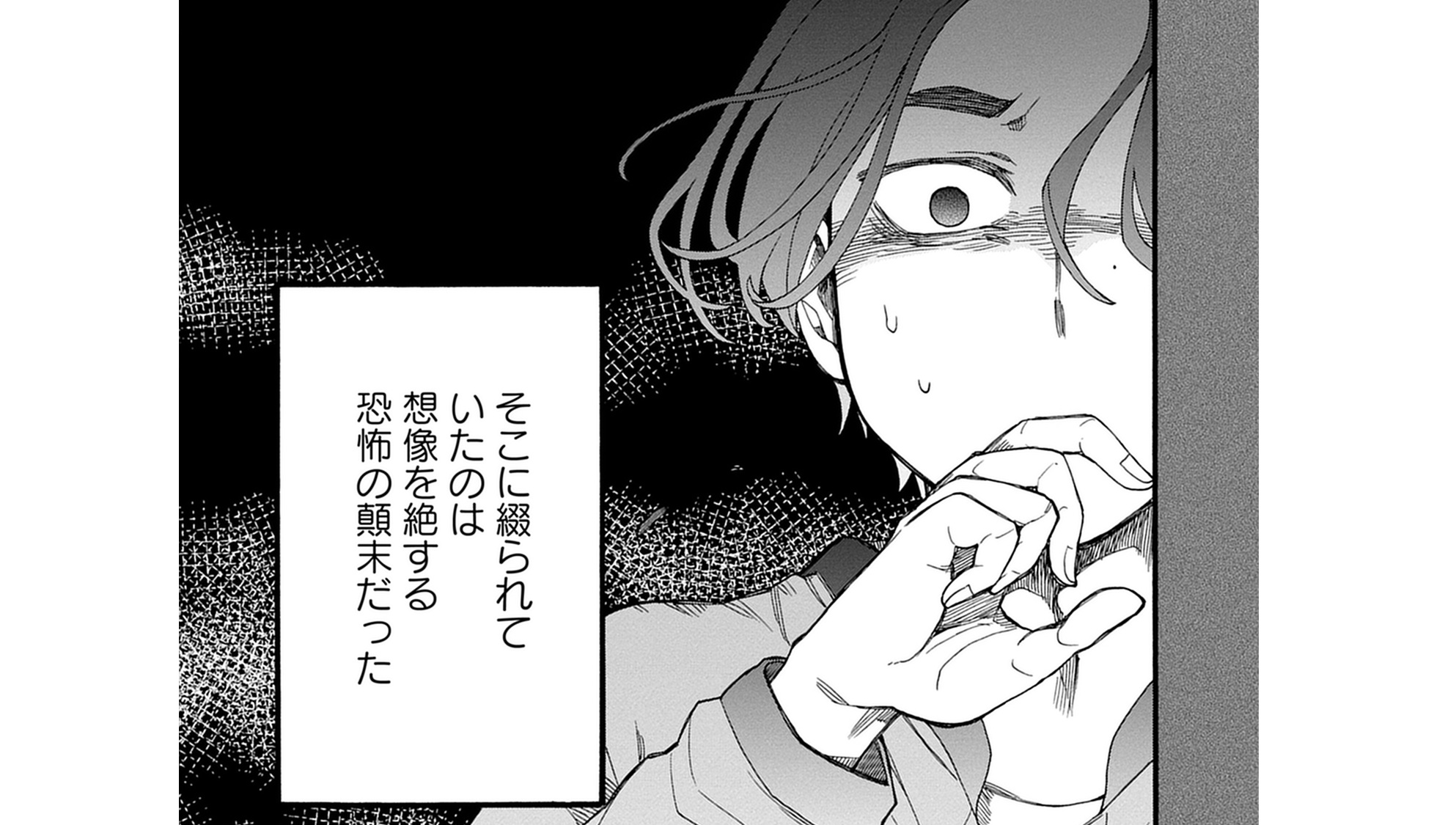 記事の画像