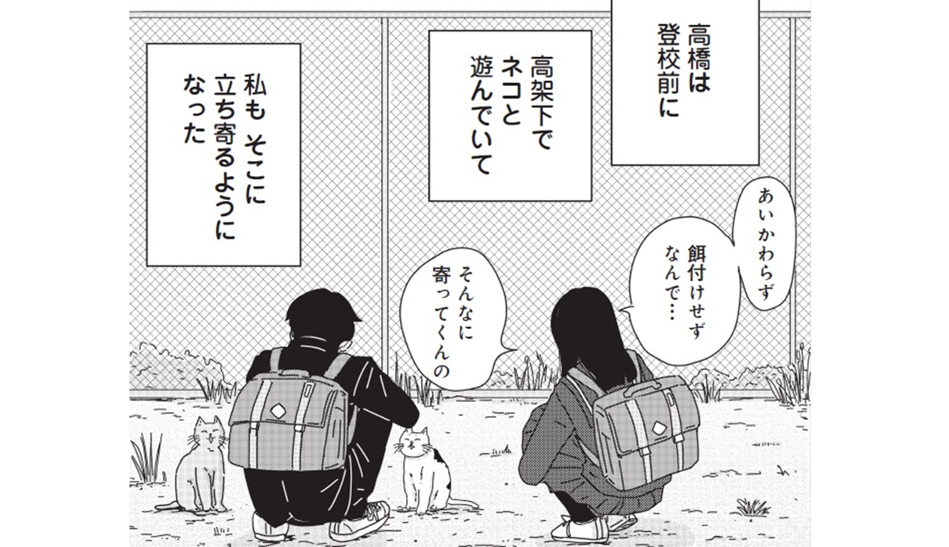 マイペースと歩く_TOP_07