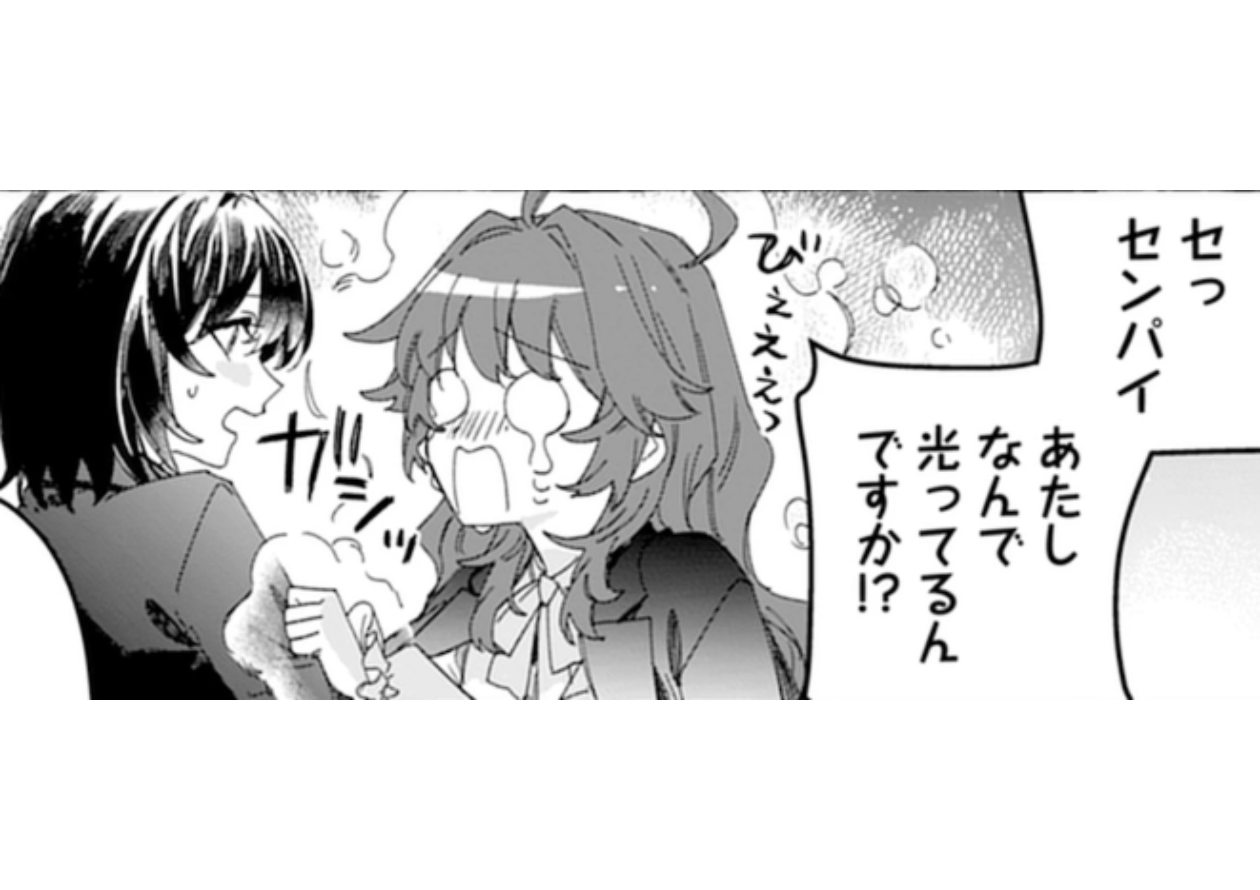 モフモフ猛禽類 (1)